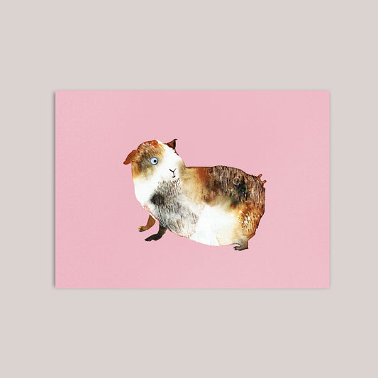 Postkarte Meerschwein