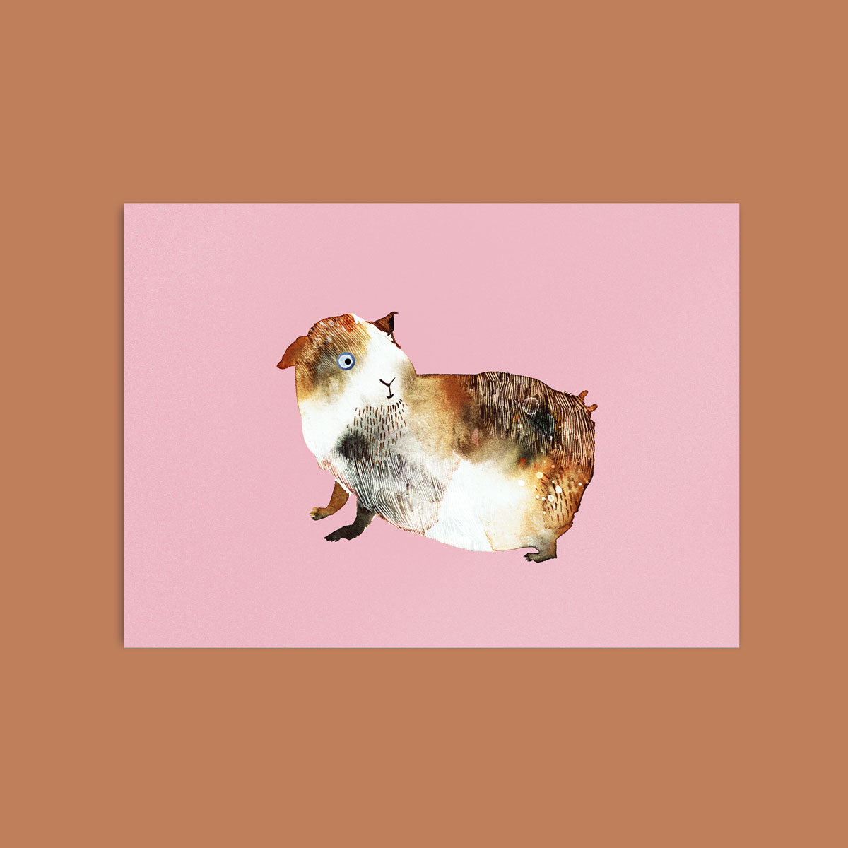 Postkarte Meerschwein