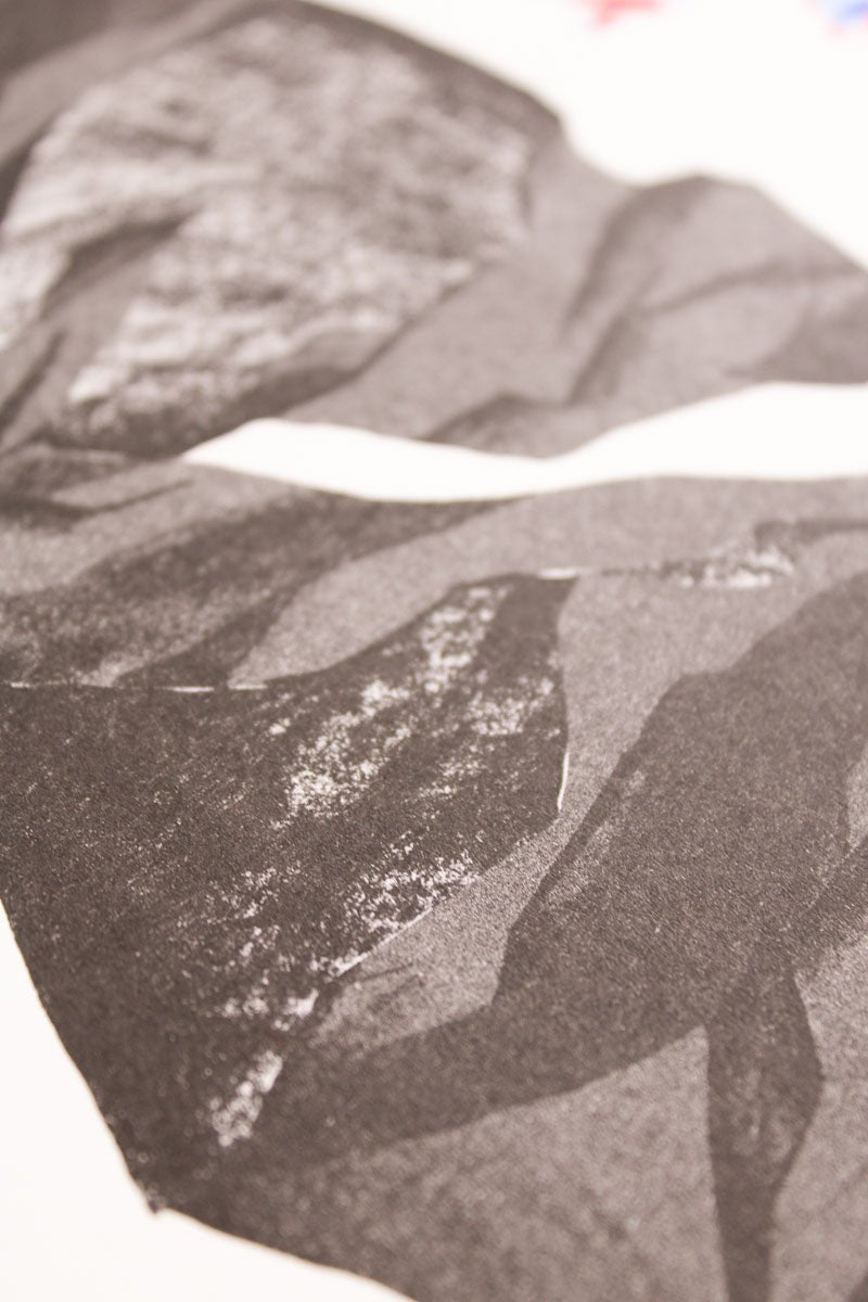 Riso Print "Dorf - Disco" • limitierter Kunstdruck Risografie - Halber Hahn