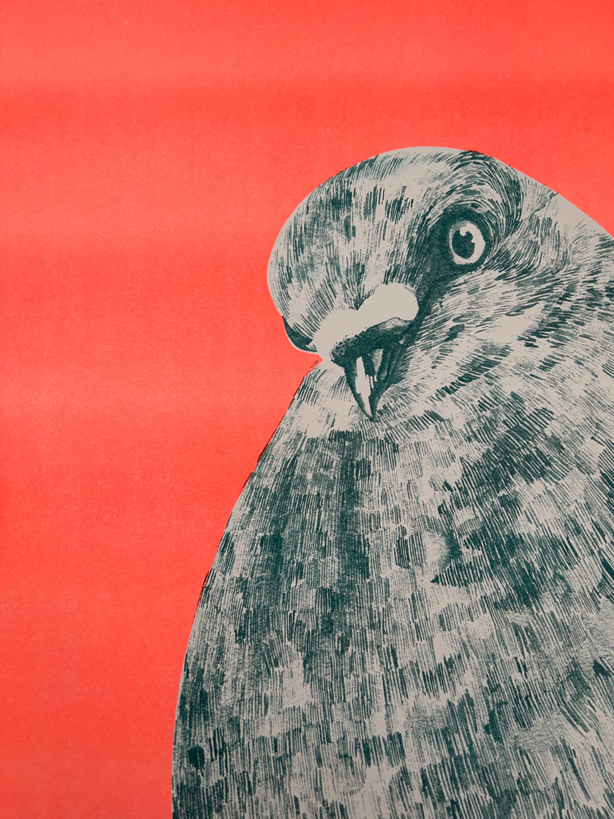 Riso Print Taube • Din A2 limitierter Kunstdruck Risografie