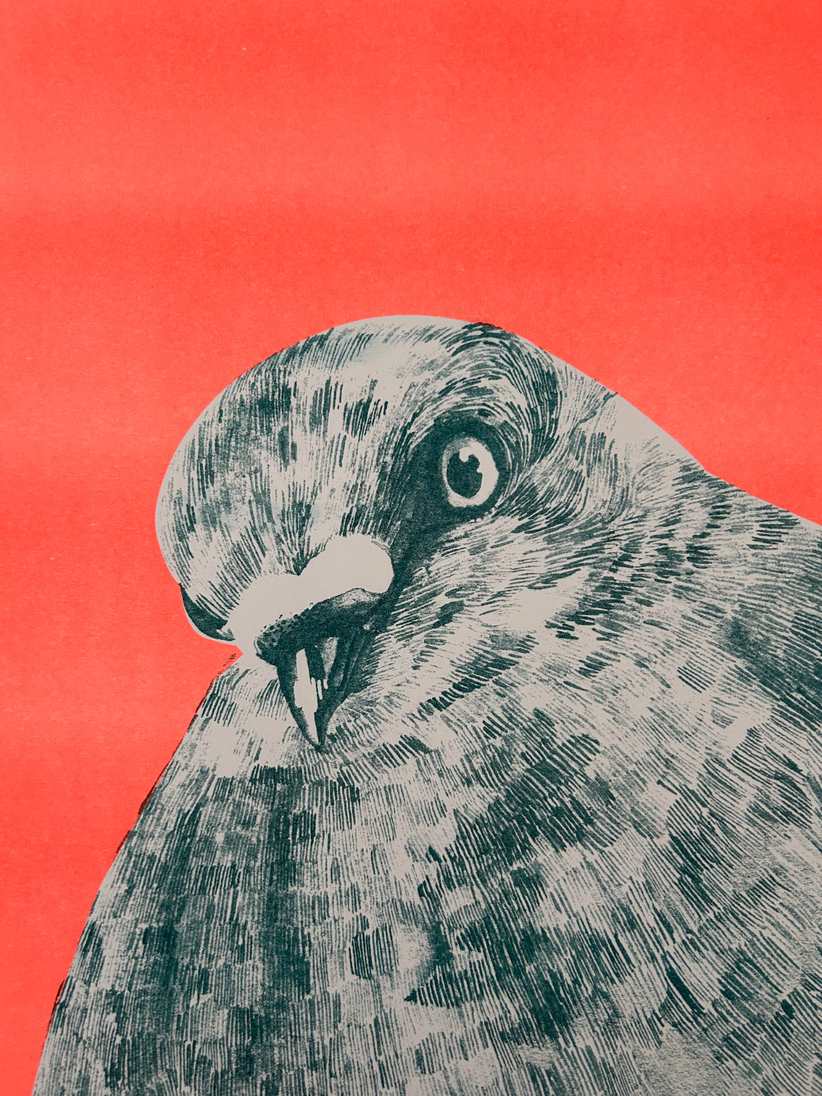 Riso Print Taube • Din A2 limitierter Kunstdruck Risografie