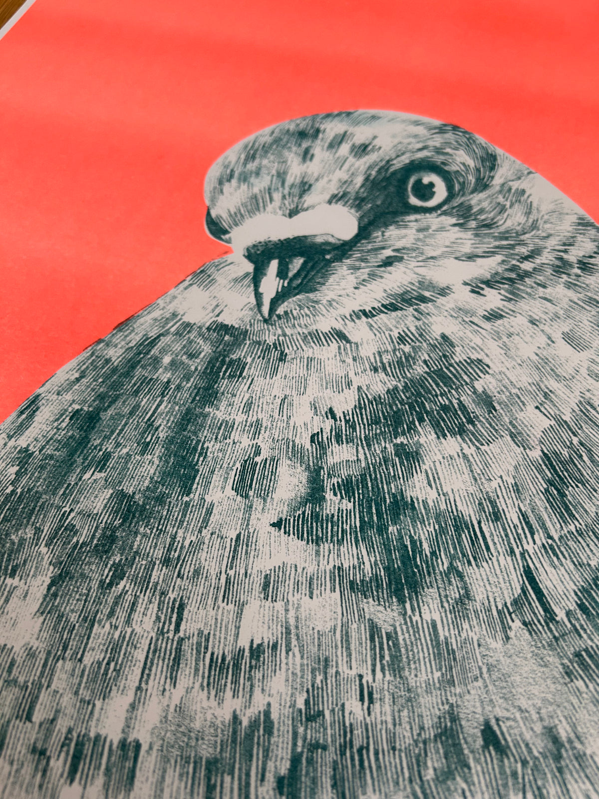 Riso Print Taube • Din A2 limitierter Kunstdruck Risografie