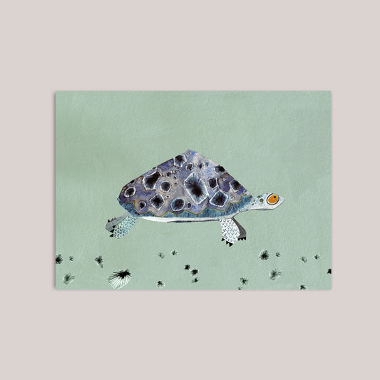 Postkarte Schildkröte Tag